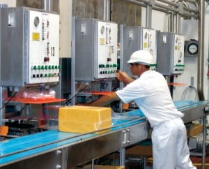 Technology-manufacturing-cheese-worker-500x404